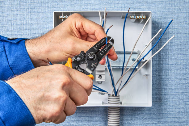 Best Electrical Troubleshooting and Repair  in Elmer, NJ